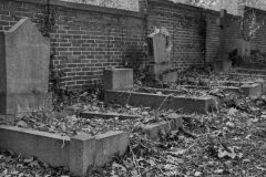 20241028_162150-e1759081627648