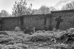 20241028_162330-e1759083971173